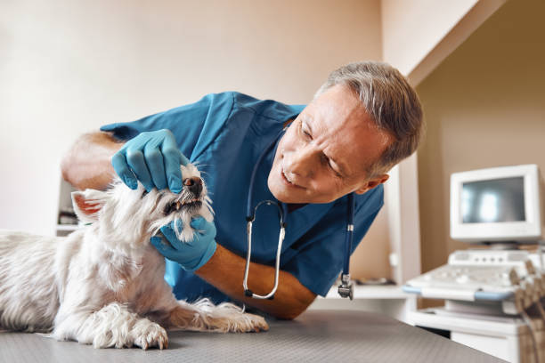Best Emergency Treatment for Dental Infections or Abscesses in Wetherington, OH